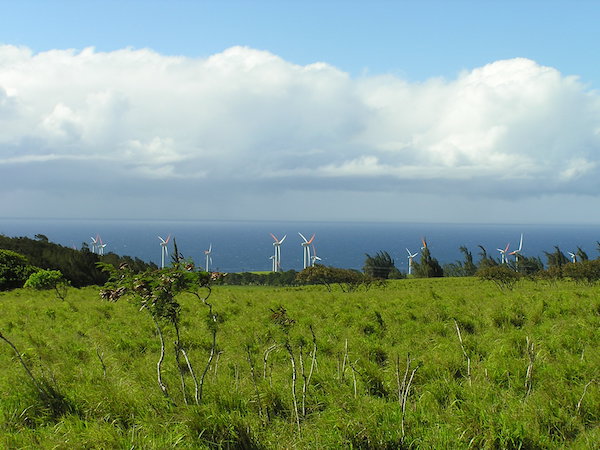 windmills in a field